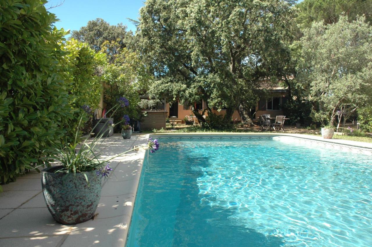 Appartement La Vigne Et L'Olivier à Villeneuve-lès-Avignon Extérieur photo