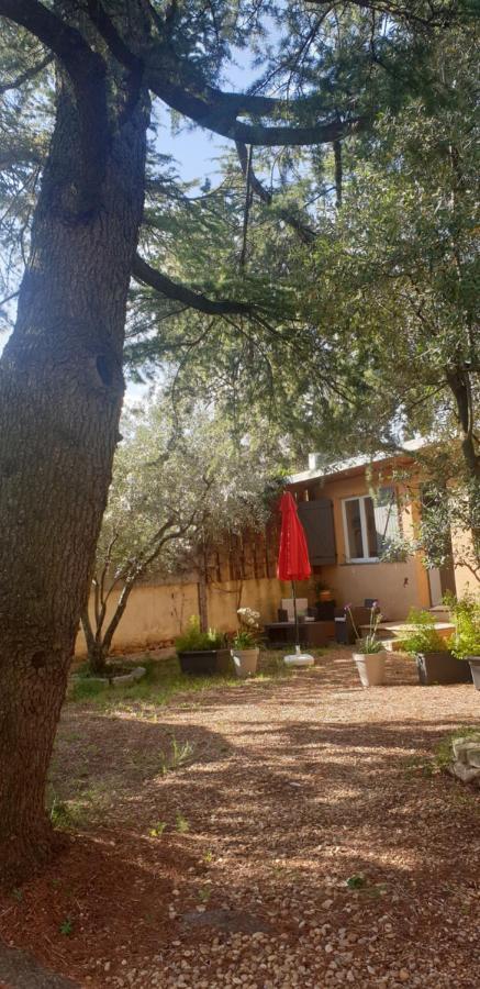 Appartement La Vigne Et L'Olivier à Villeneuve-lès-Avignon Extérieur photo