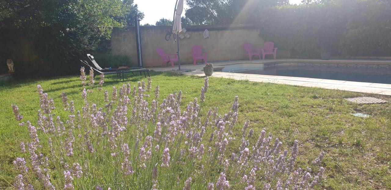 Appartement La Vigne Et L'Olivier à Villeneuve-lès-Avignon Extérieur photo